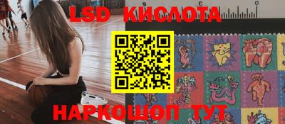 индика Чебоксары