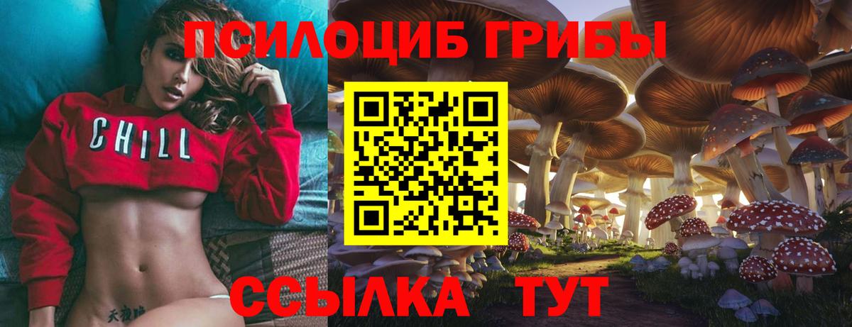 Псилоцибиновые грибы Psilocybe  Вход с VPN  Аша  Псилоцибиновые грибы Magic Shrooms 