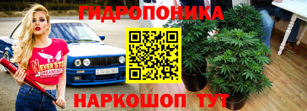 Бошки Шишки план  Вход с VPN  Конопля семена  Аша  Бошки марихуана OG Kush 